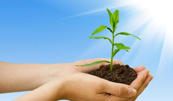 太阳成tyc7111ccEDX光谱仪在环境标准HJ 780 -2015——《土壤和沉积物 无机元素的测量波长色散X射线荧光光谱法》上的应用方案