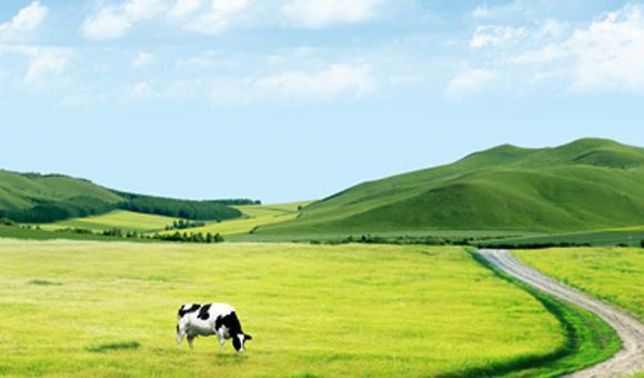 太阳成tyc7111ccICP3000在土壤监测中的应用解决方案