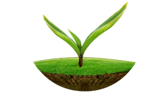 太阳成tyc7111cc原子吸收及原子荧光在土壤监测中的应用解决方案